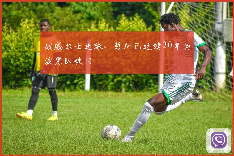 战威尔士进球，哲科已连续20年为波黑队破门