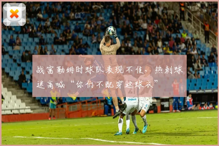 战富勒姆时球队表现不佳，热刺球迷高喊“你们不配穿这球衣”