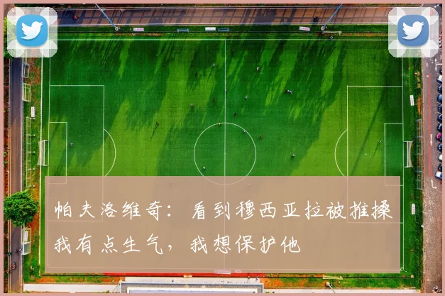 帕夫洛维奇：看到穆西亚拉被推搡我有点生气，我想保护他