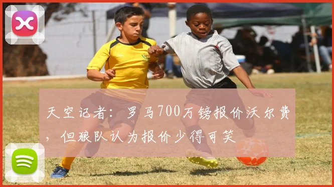 天空记者：罗马700万镑报价沃尔费，但狼队认为报价少得可笑